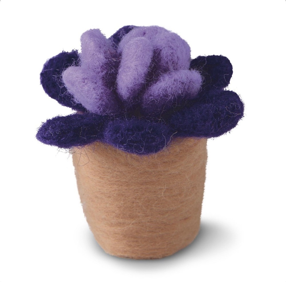 Succulent Felting Kit by Loops & Threads®