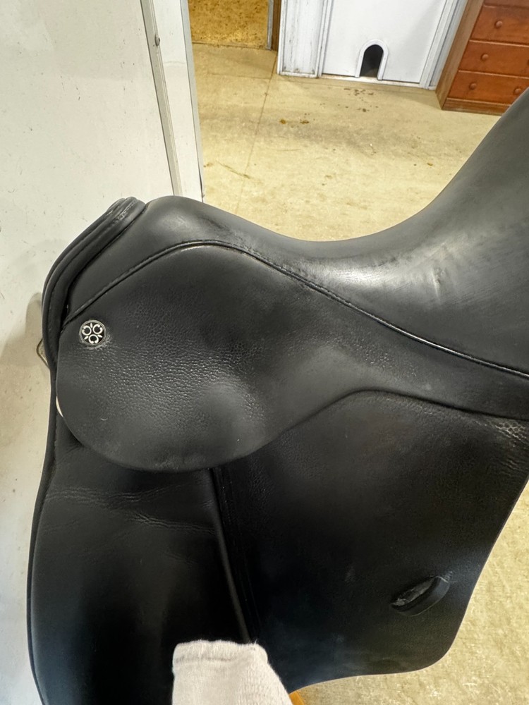 Trilogy 17.5" Verago W Tree