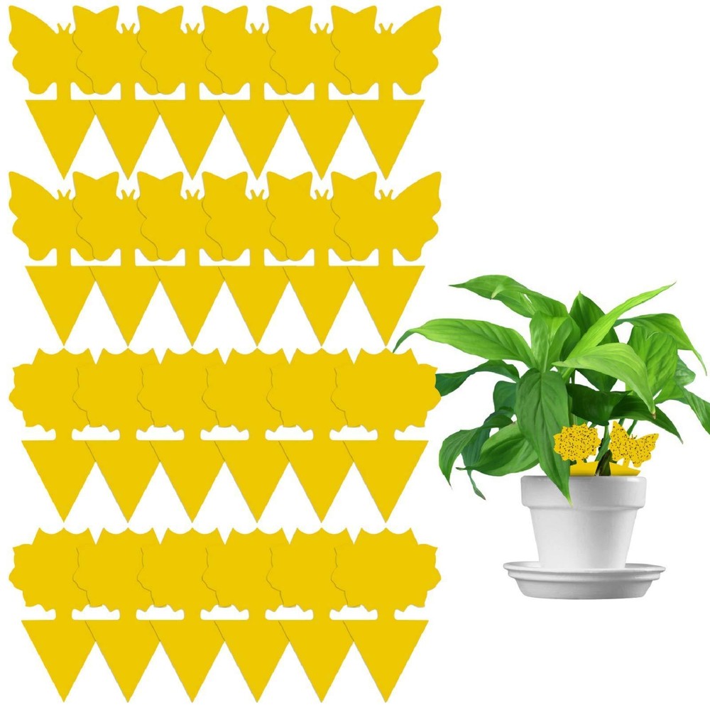 50 Sticky Insect Boards: Double-Sided