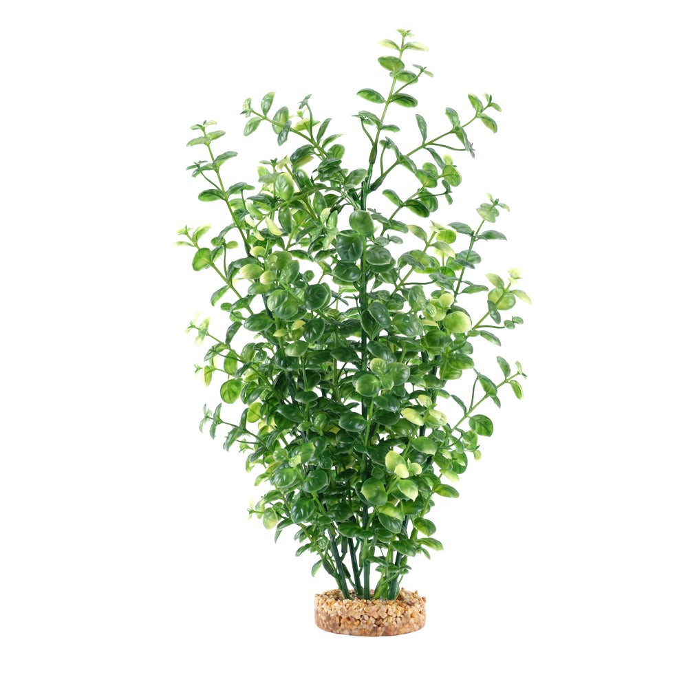Fluval Aqualife Green Bacopa Plant Select Size:: 14 inch