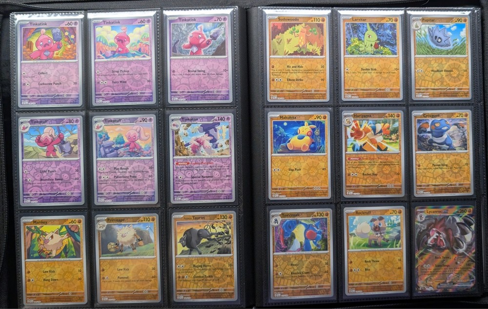 Pokémon Paldea Evolved Master Set