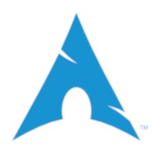 Arch Linux 2025.07.01 DVD (x86_64)