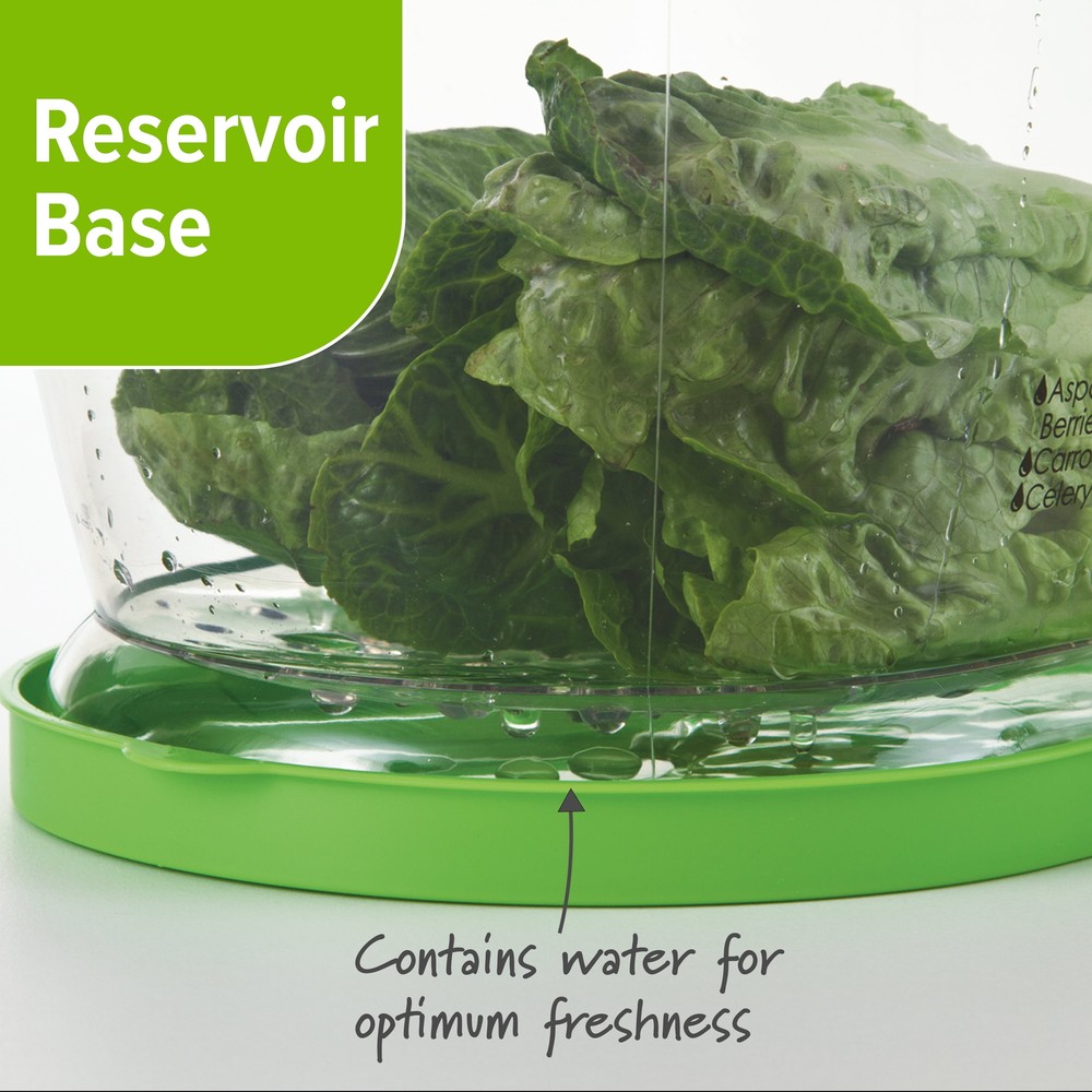 Prep Solutions Lettuce Keeper
