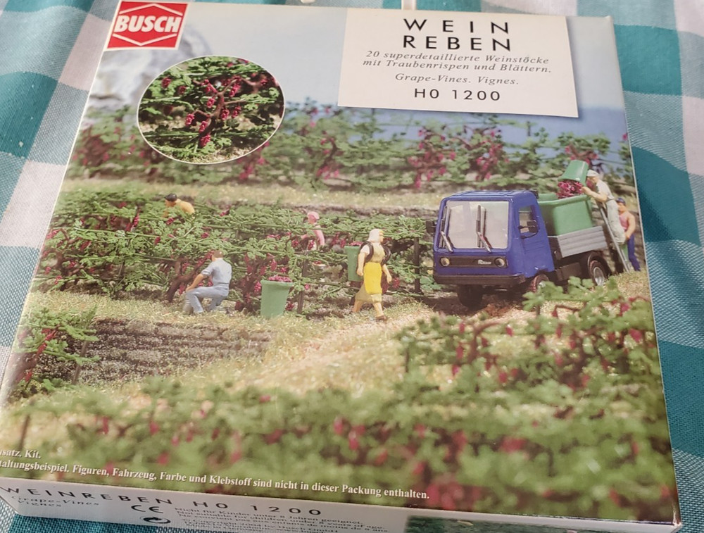 Busch Wein Reben HO Grape Vines #1200