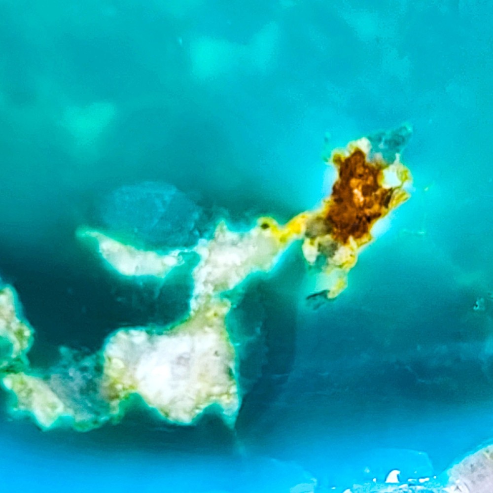 GS1043 AAA-grade webbed Polychrome Hardy Pit rough stones 67.2 gr, lapidary