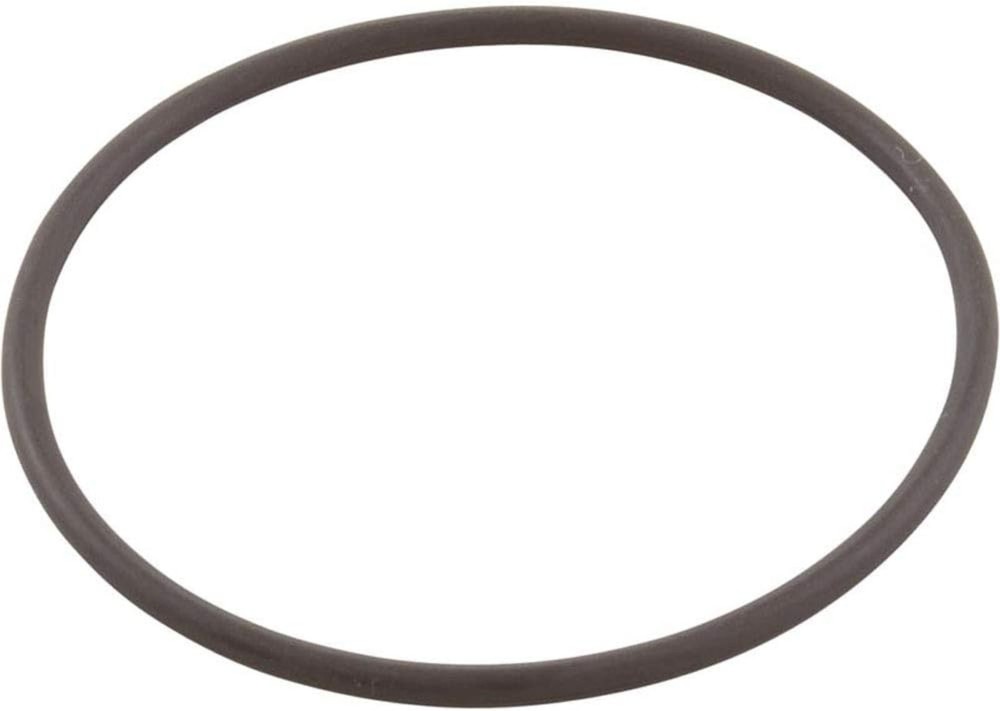 Jandy Outlet Tube Filter O-Ring Dev Filter R0792000