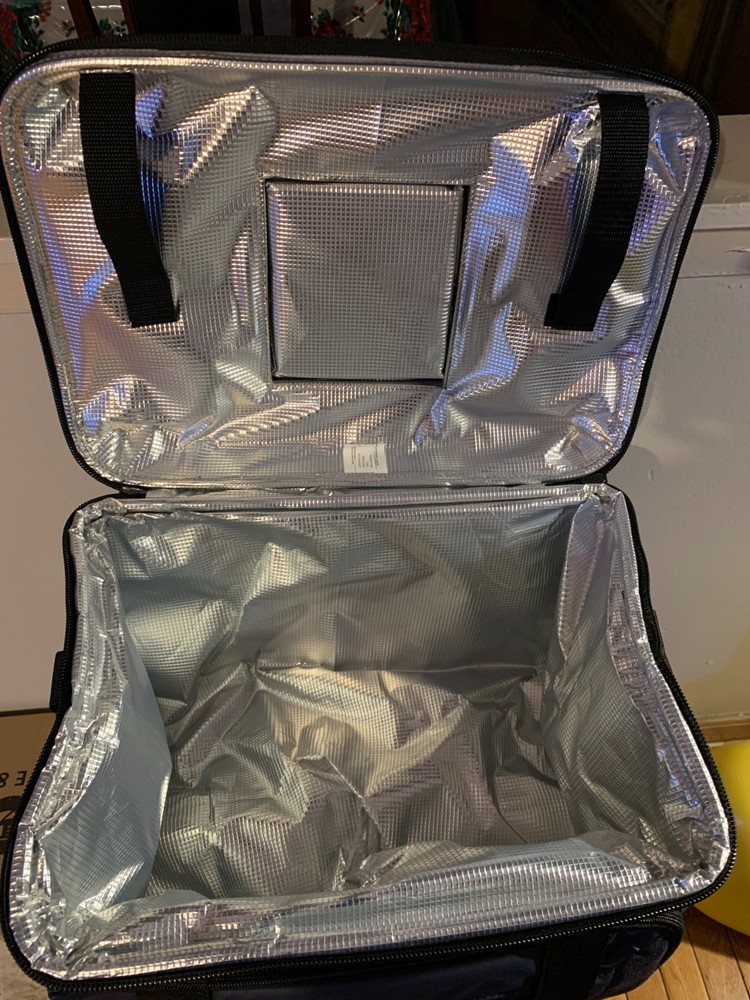 Igloo Collapse and Cool 50 Can Cooler