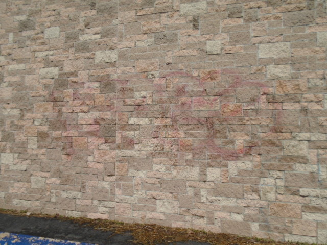 GRAFFITI REMOVER SHADOW MAX 1 QUART BY GRAFFITI SOLUTIONS