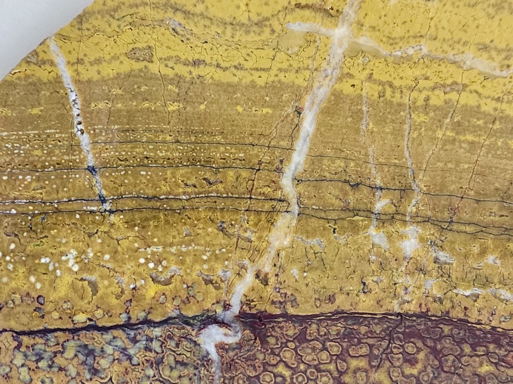 Orbicular Jasper Large Lapidary Slab