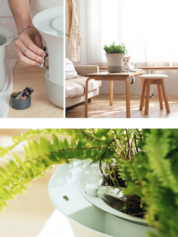 Wirelessly Autonomous Gardening Assistant