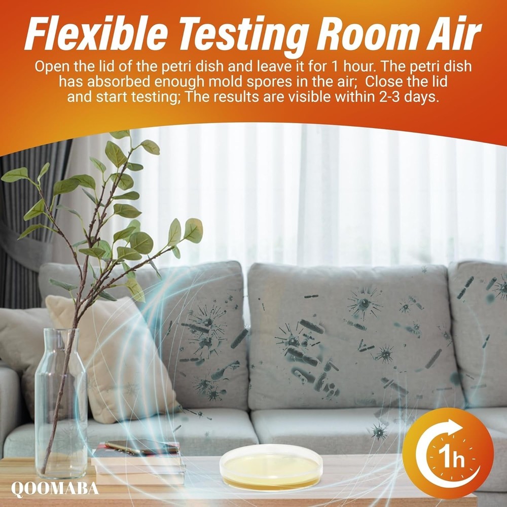 Home Mold Kit - 10PCS Including Comparison Cards for Easy Mold Detection