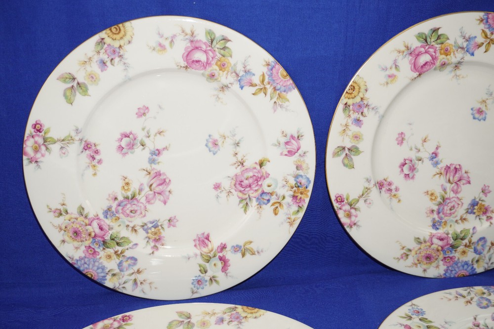 Castleton Sunnybrooke (4) Dinner Plates, 10 3/4" (B54)