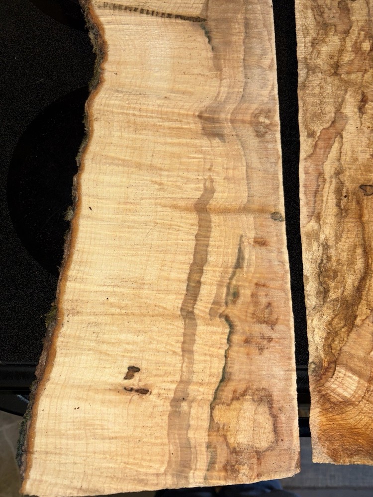 Curly Maple Slabs - 2 Pc Craft Bundle #2085