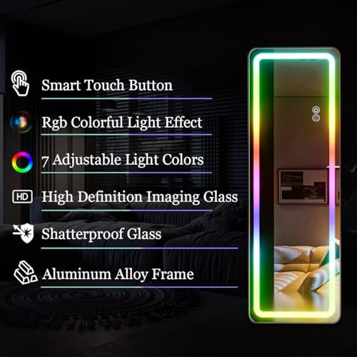 LED Full Length Mirror, 63"x20" Full Length 63"L x 20"W Rgb Mirror-rectangular