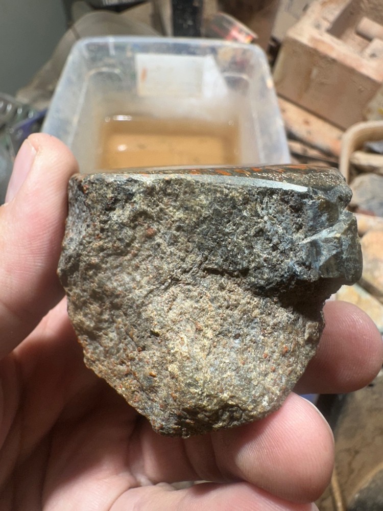 Dinosaur bone rough polished specimen