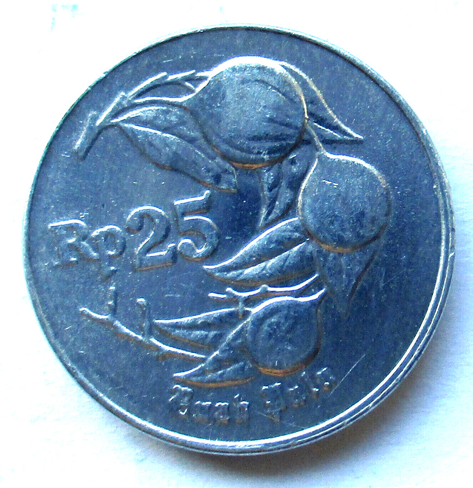 Indonesia 25 Rupiah 1994