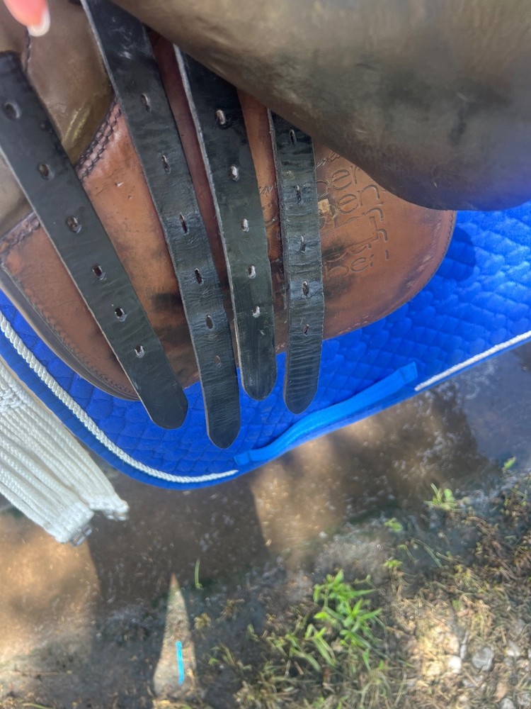 saddle genesis