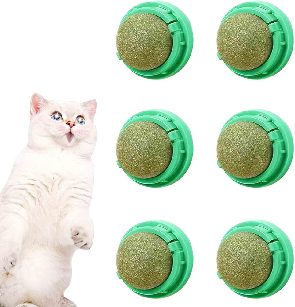 6 PCS Catnip Balls