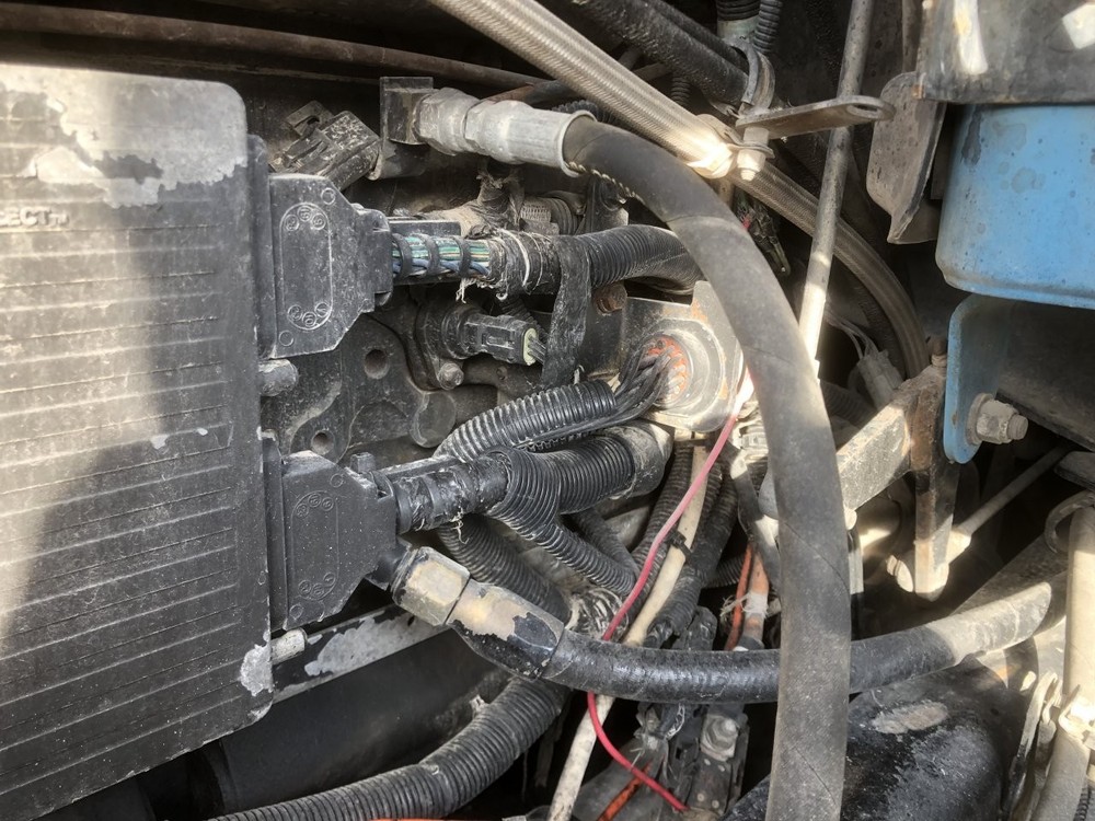 Kenworth T2000 Wiring Harness, Cab - Used