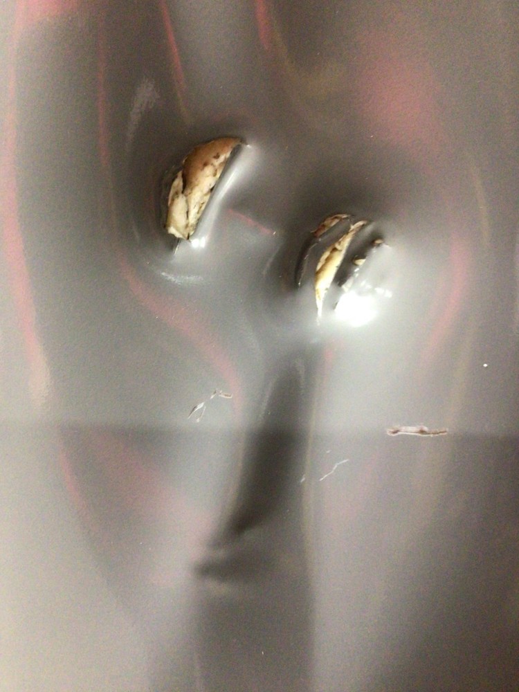 Rheem Rudd Commercial Gas Water Heater Model G75-75N-3 Natural Gas 75K New