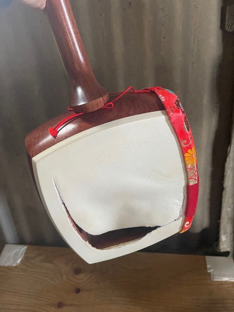 Luxury Shamisen With Case