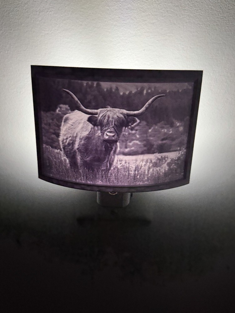 Lithophane 3D Printed LED Night Light- Custom and Personalized - F/S