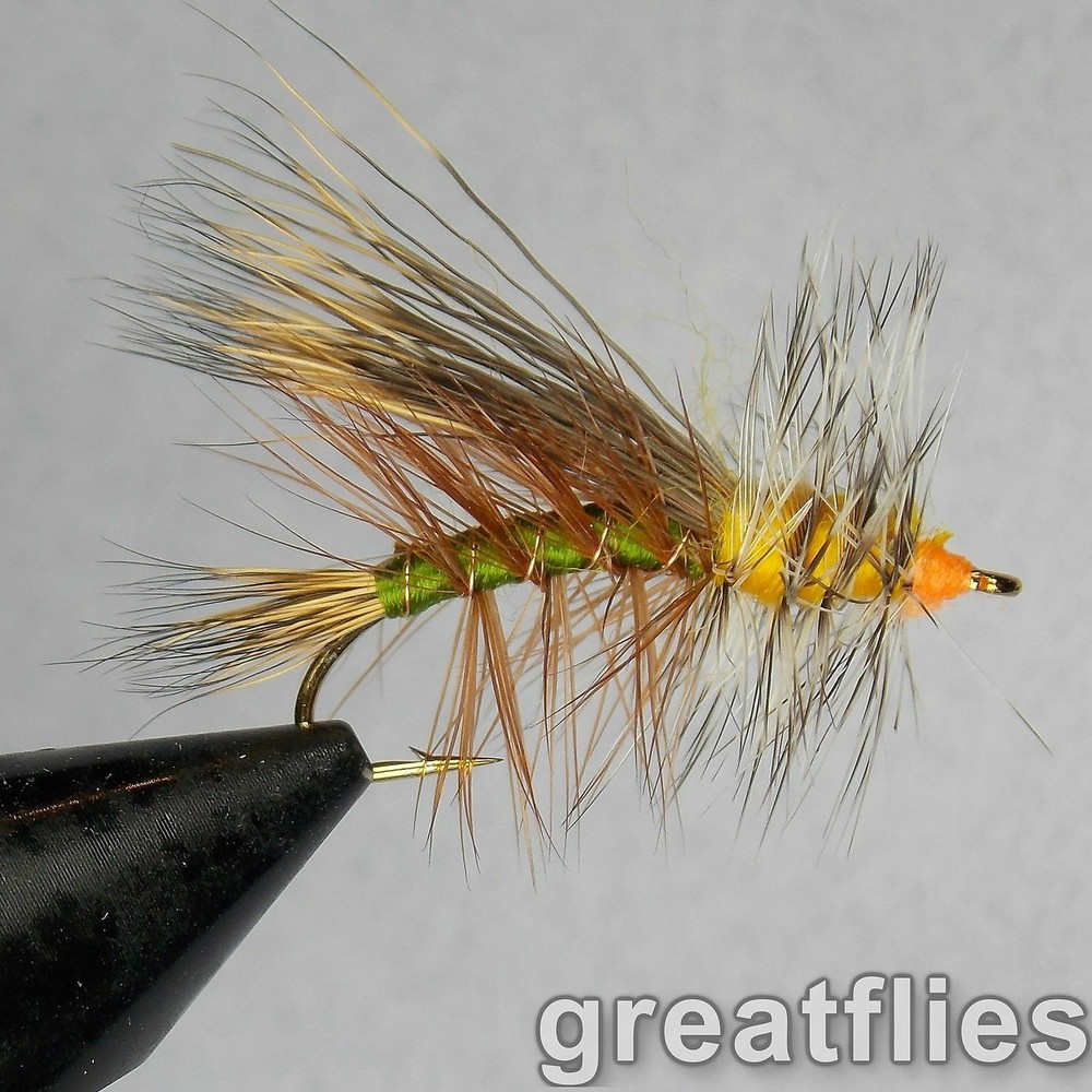 1 dozen (12) - Stimulator - OLIVE