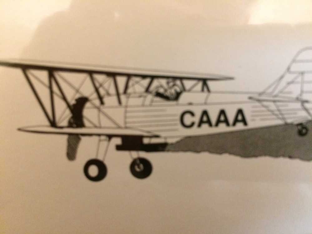 CAAA Airplane Playing Cards