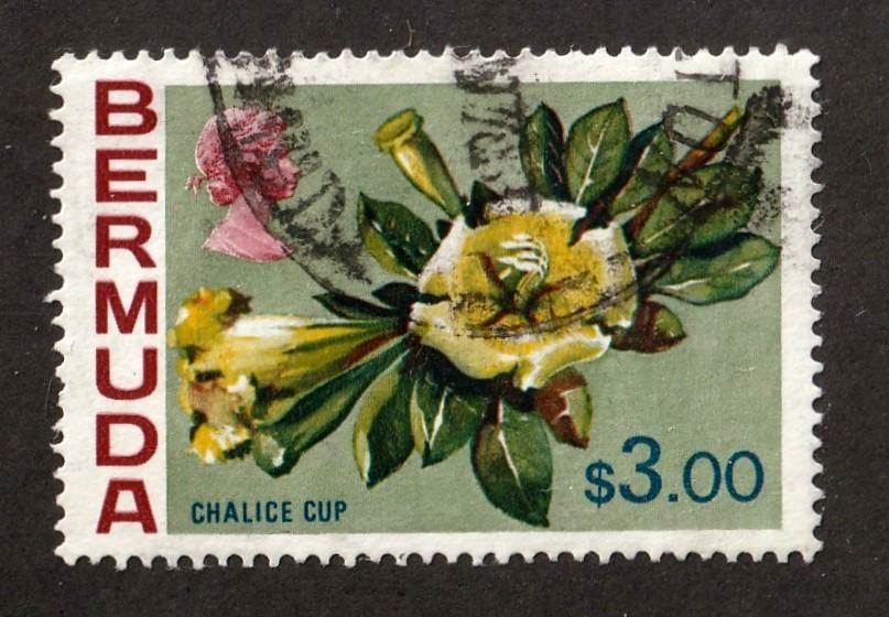 Bermuda      328         used