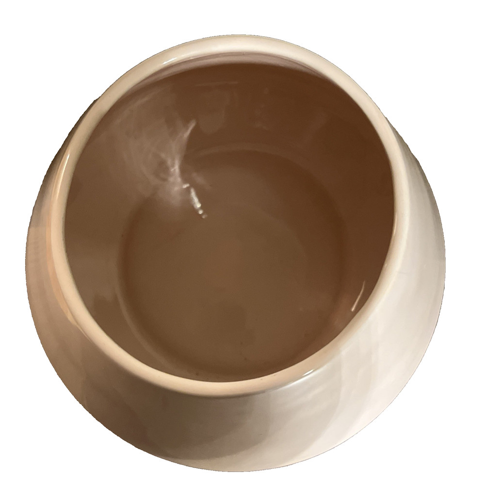 CB2 Roz Pink Planter
