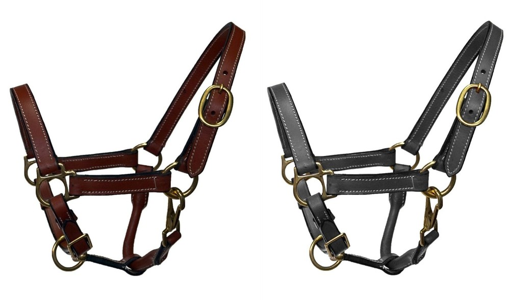 Equitem Mini/Miniature Size Leather Halter with Brass Hardware