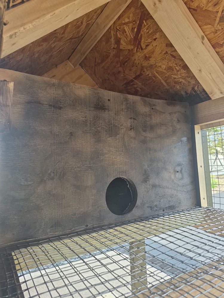 Quail Coop, Rabbit Hutch