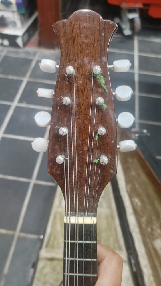Mandolin ikegaku stringed instrument with case