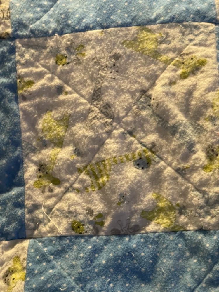 Fun in The Jungle Rag Quilt