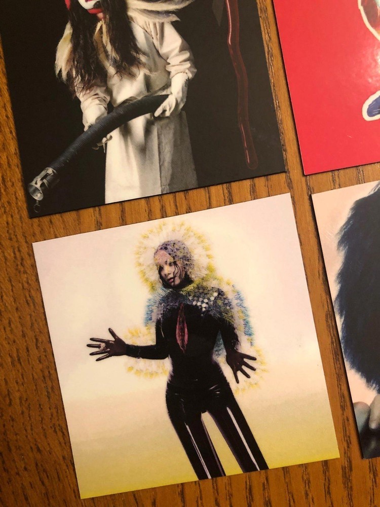 Bjork fridge magnets