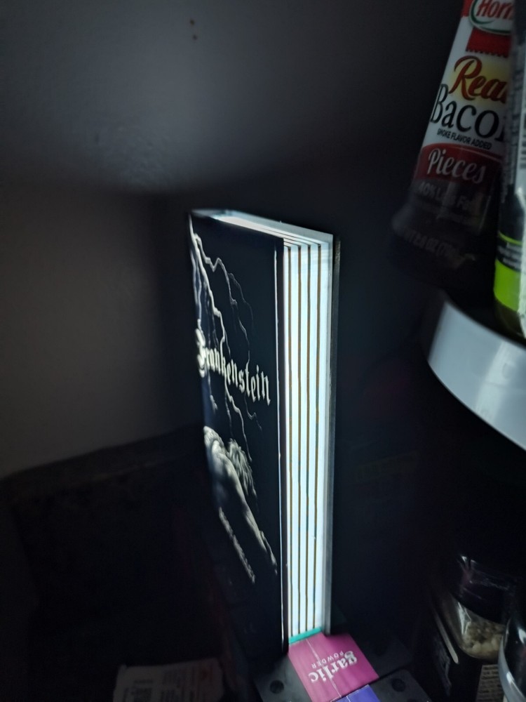 Frankenstein Book Desk Lamp