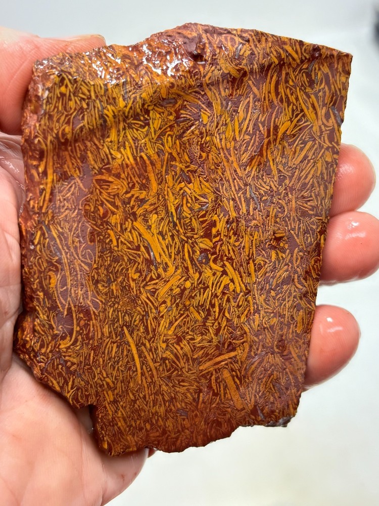Script Stone Jasper Slab Cabbing Lapidary Collecting Combo Ship Avail