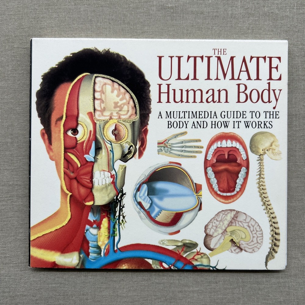 DK The Ultimate Human Body (CD-ROM 1994 PC) Multimedia Guide How It Works Window