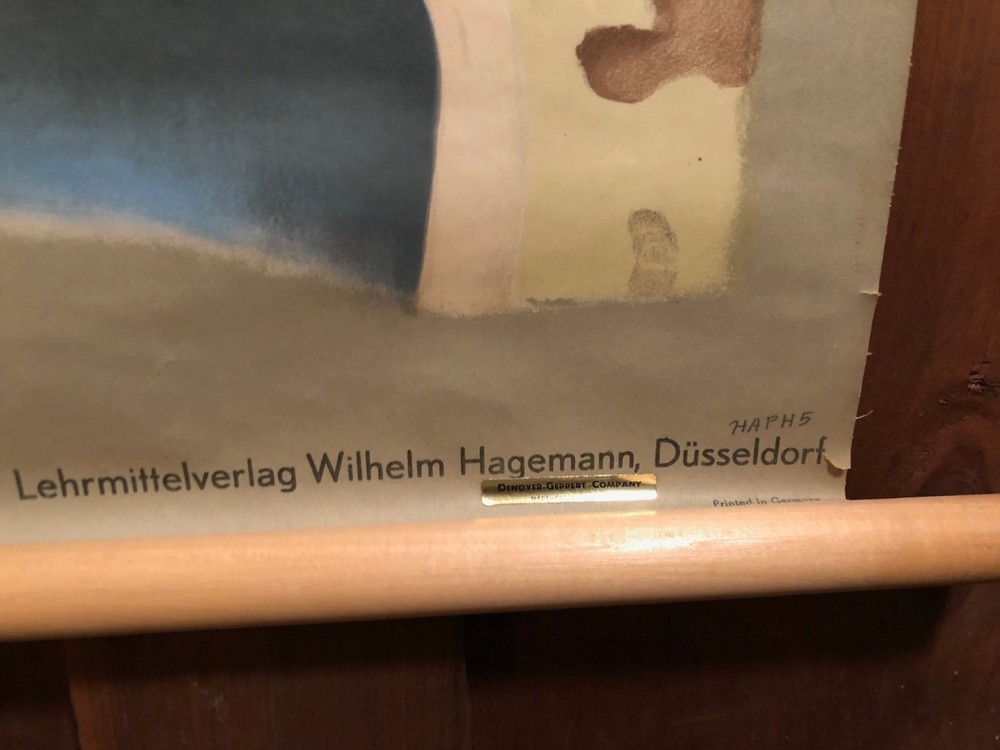 Vintage EAR German Educational Pull Down Chart by Hagemann / Denoyer Geppert Co