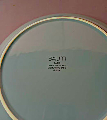 NWOT Baum Oasis Touquoise 4-Piece Dinnerware Set