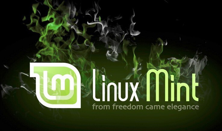 Linux Mint 22.3 Zena Bootable USB Live Install Drive Beginner Friendly (64 bit)