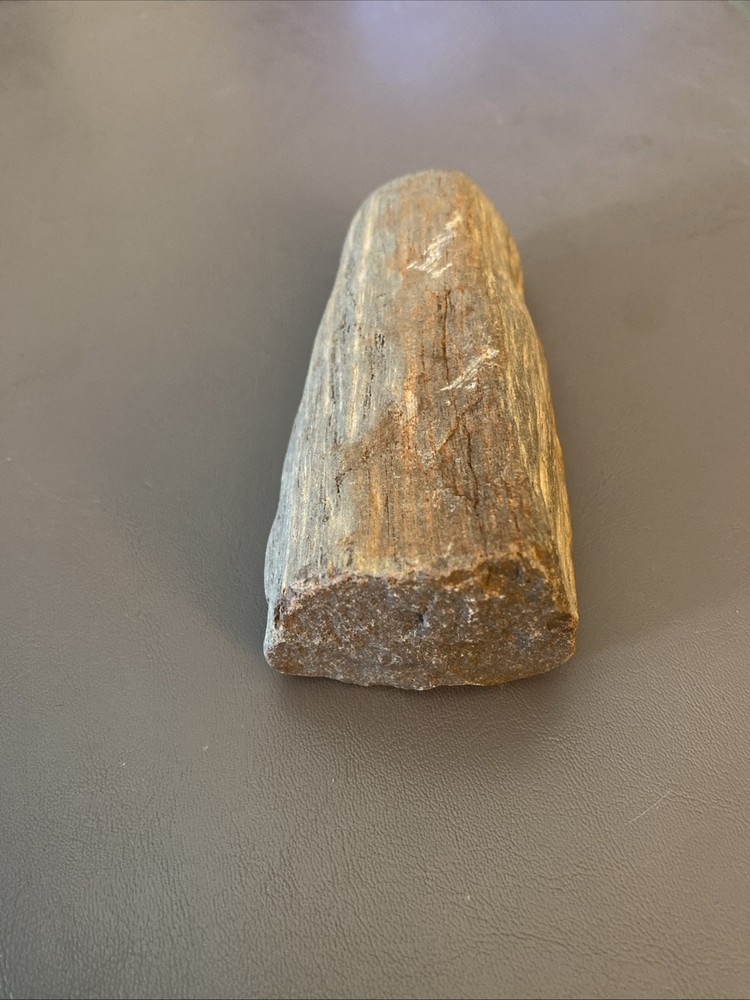 Petrified Wood