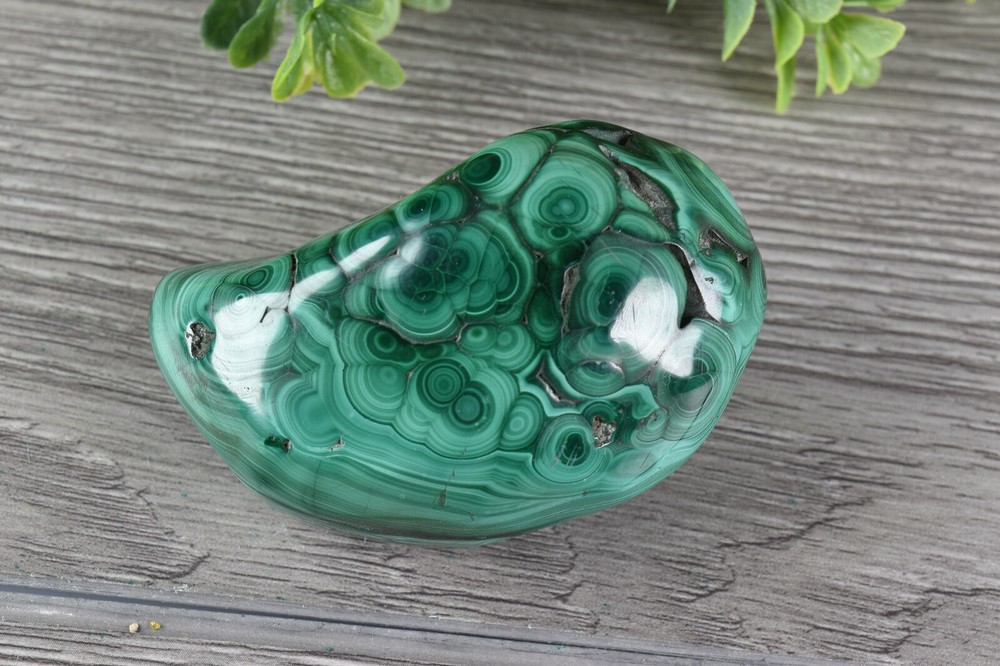 Polished Botryoidal Malachite from Congo 7.4 cm # 21897