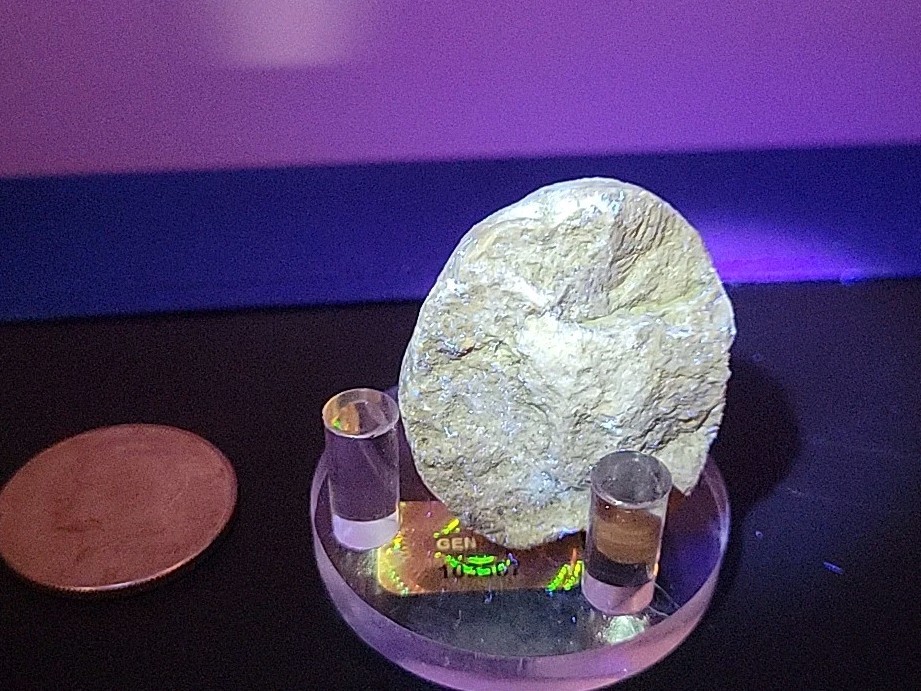 Real Dinosaur Egg Fossil Uv Reactive Permineralization fossil