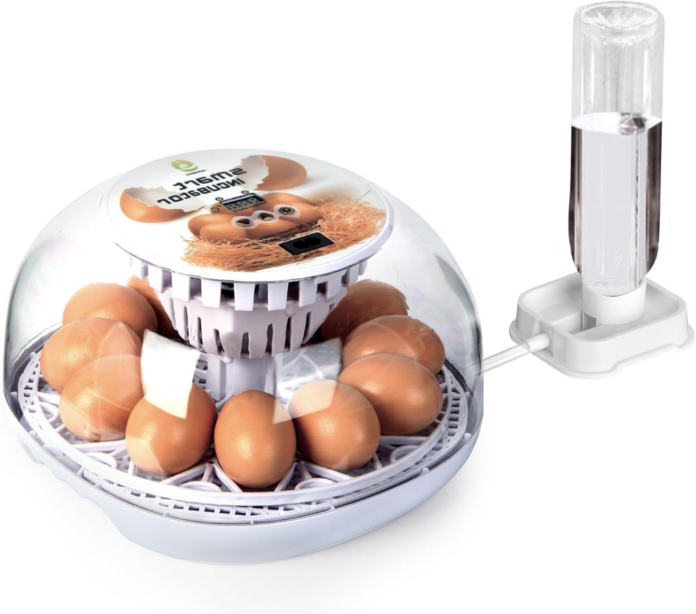 Explore 12 Egg Automatic Incubator for Beginners, Auto Egg Turning, Consistent H
