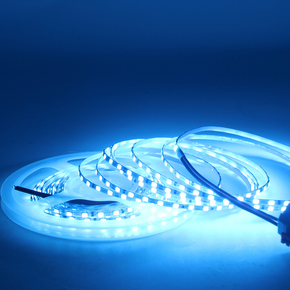 3mm Narrow Width LED Strip Light 5M DC12V 2025 168Led/m Rape Rope Light Flexible