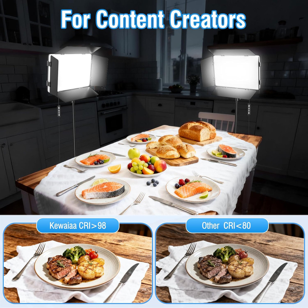 2 Pack LED Video Light with Barndoor, 20W Bi-Color LED Studio Lights Panel, 2500