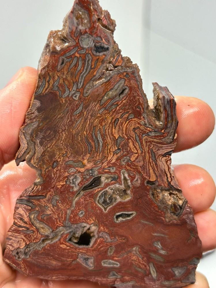 Turkish Agate slab Cabbing Lapidary Collecting Combo Ship aval