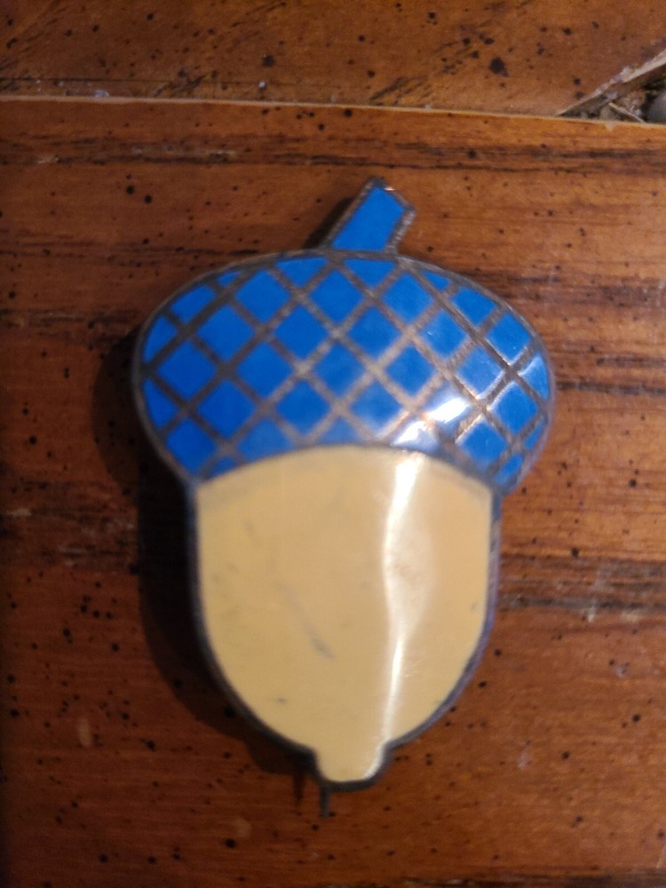 Civil War 14th Corps Badge