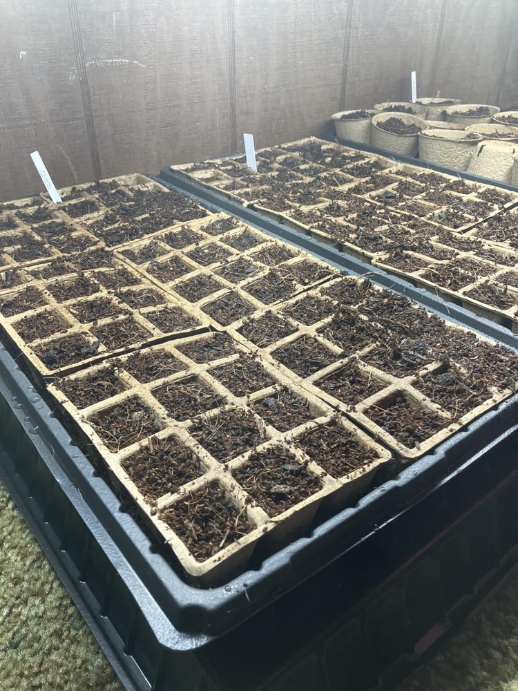 360 Cell Seed Starter Tray Biodegradable Peat Pots Kit with Labels for Plants